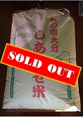 �����碌�ơ����ơ� 6ǯ�ܰʹߡ�30Kg